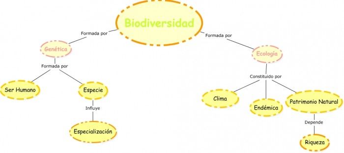 Mapa Conceptual De La Biodiversidad Guia Paso A Paso - vrogue.co